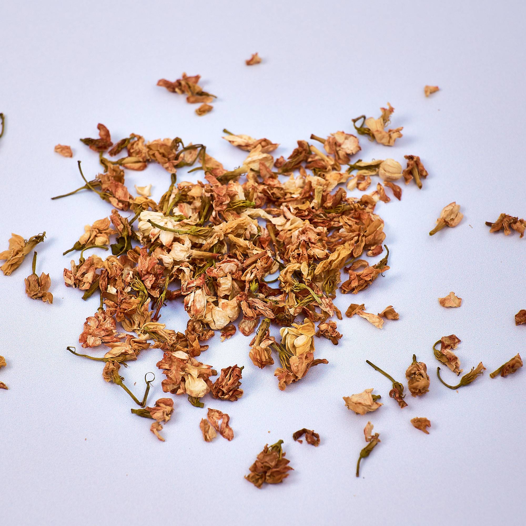 9563 Jasmine Flowers