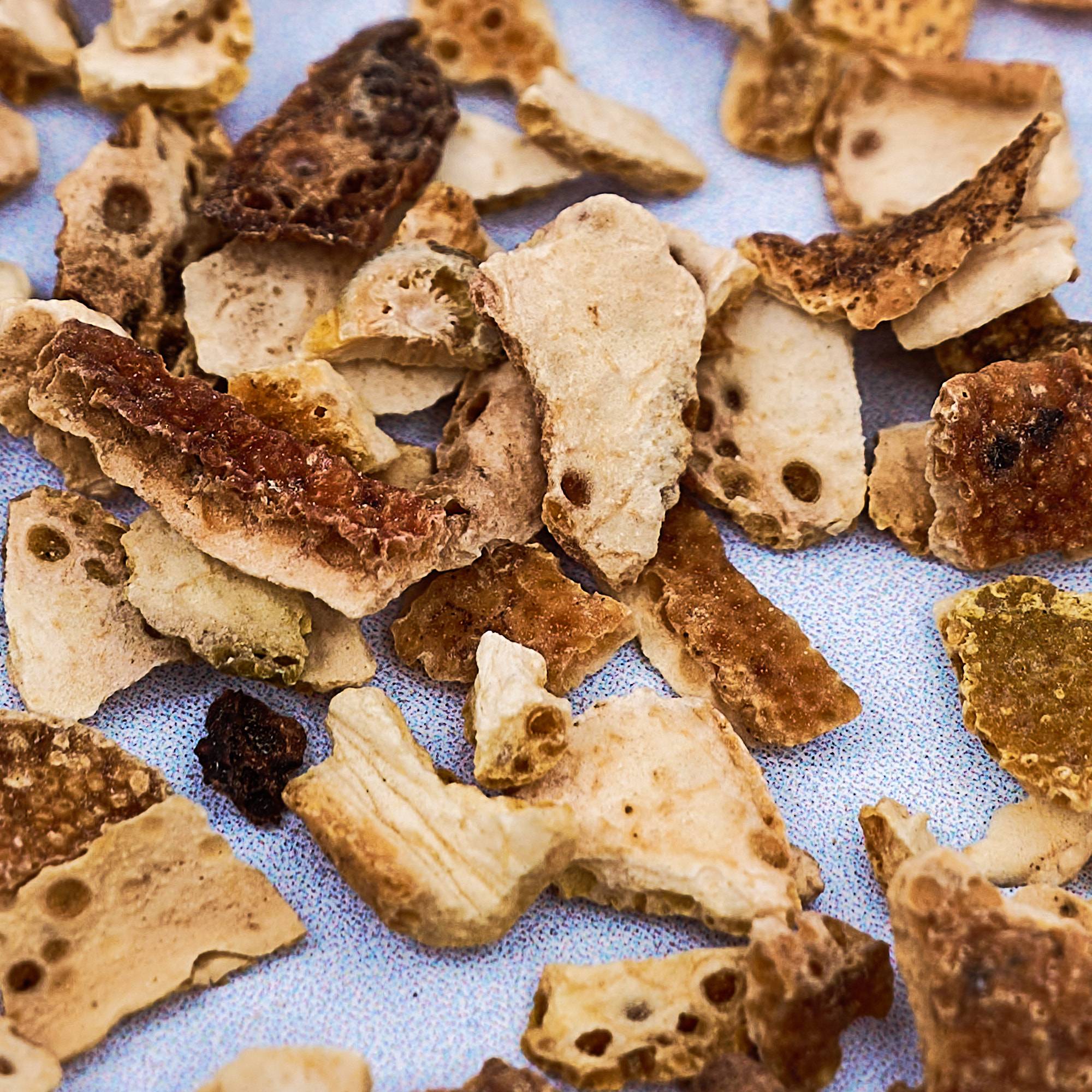 9571 Orange Peel - Cut & Dried