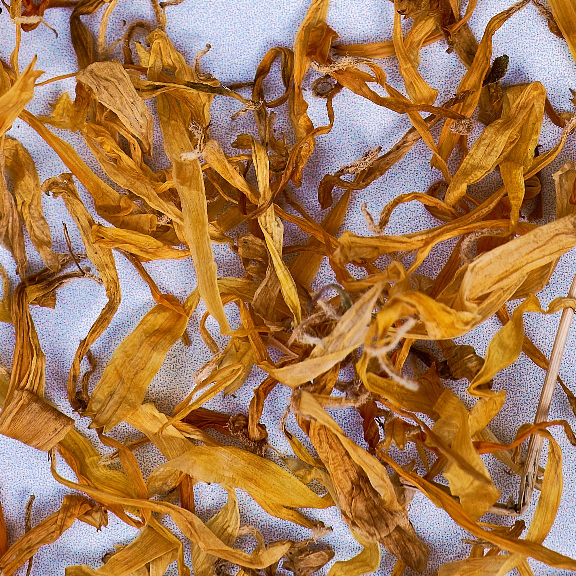 9576 Calendula Petals - Marigold