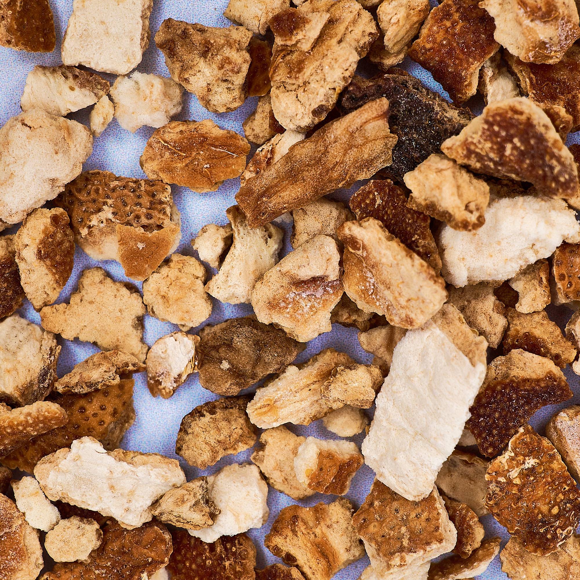 9579 Lemon Peel - Cut & Dried